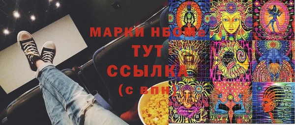 индика Верея