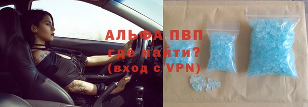 индика Верея