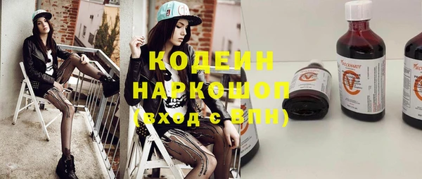 индика Верея