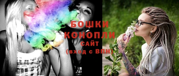 индика Верея