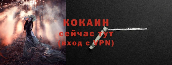 индика Верея