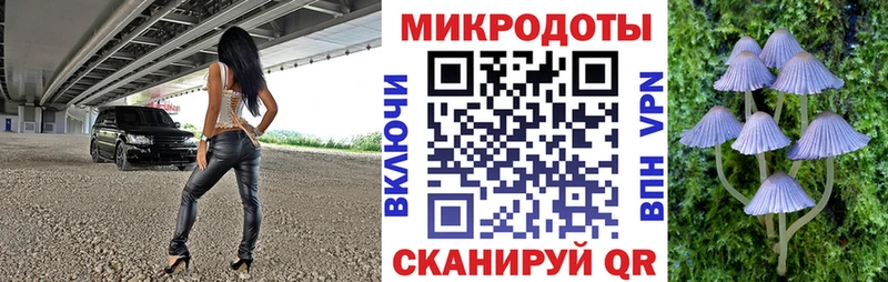 Псилоцибиновые грибы Cubensis  как найти закладки  Мончегорск 