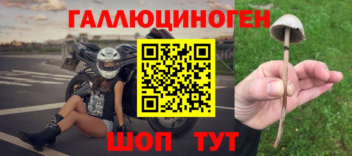 Мончегорск  Псилоцибиновые грибы Magic Shrooms  Вход с VPN  Галлюциногенные грибы прущие грибы 
